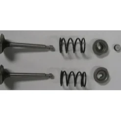 [P54150A] Valve Kit Complete