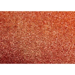 WEN 5SD240 240-Grit Adhesive-Backed 5 in. Disc Sandpaper, 10 Pack